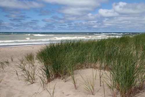 A sandy beach with tall grass in the foreground and waves crashing in the background under a partly cloudy sky.