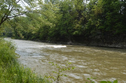 A serene river flows through a lush green landscape, flanked by trees and rocky banks under a clear sky.