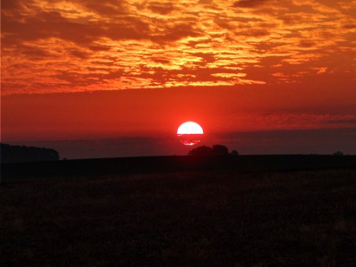 A vibrant sunset with orange and red hues, casting light over a dark horizon and silhouetted trees.