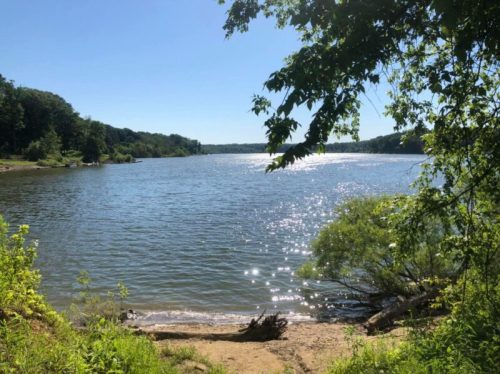 A serene river scene with sparkling water, surrounded by lush greenery and a clear blue sky.