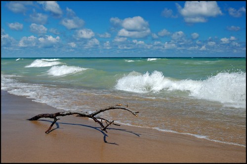 A sandy beach with gentle waves, a branch lying on the shore, and a bright blue sky with fluffy clouds.