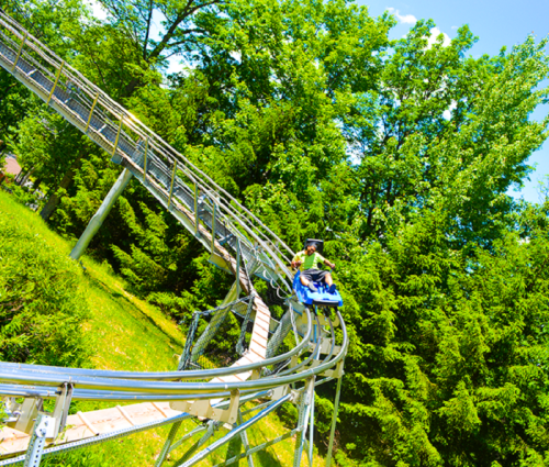 A person rides a blue alpine coaster on a winding track surrounded by lush green trees under a clear blue sky.