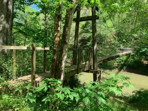 A wooden suspension bridge surrounded by lush green trees, crossing over a calm river.