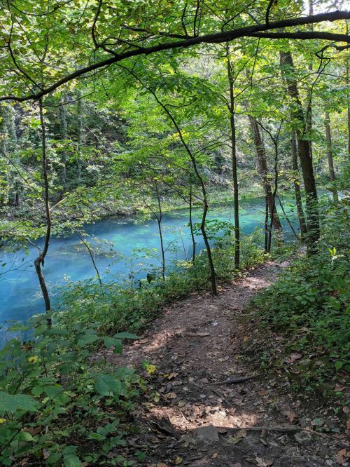 A serene forest path leads to a tranquil blue river, surrounded by lush green trees and foliage.