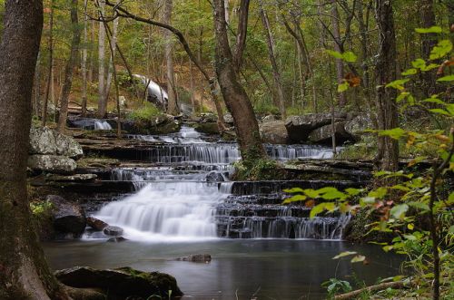 A serene waterfall cascades over rocks in a lush forest, surrounded by trees and greenery.