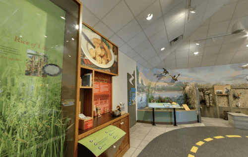 Exhibit space featuring displays about rice cultivation, wildlife, and environmental education in a bright, open room.
