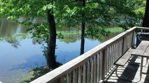 A wooden deck overlooks a calm river surrounded by greenery and trees on a sunny day.