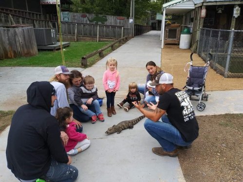 A group of children and adults sit on the ground, observing a small alligator in a park setting.