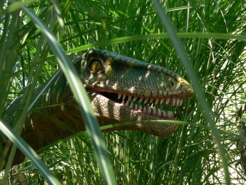 A dinosaur's head peeks through tall green grass, showcasing sharp teeth and textured skin.