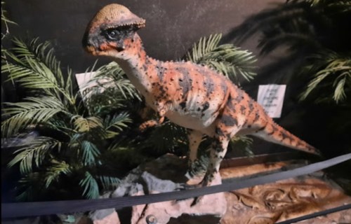 A model of a dinosaur with orange and black stripes, surrounded by green foliage and rocks.