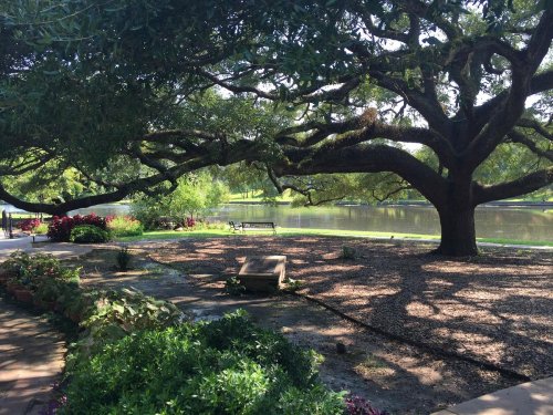 A serene park scene featuring large trees, a bench by the water, and lush greenery along the riverbank.
