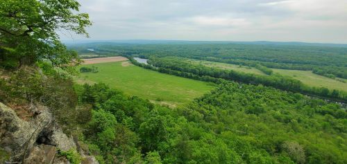 A panoramic view of lush green fields and forests, with a river winding through the landscape under a cloudy sky.