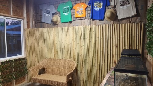 A cozy room with bamboo walls, a wicker chair, and shirts displayed on the wall, creating a welcoming atmosphere.