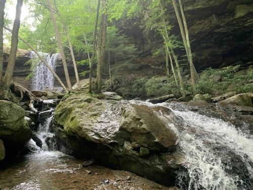A serene forest scene featuring a waterfall cascading over rocks, surrounded by lush greenery and trees.