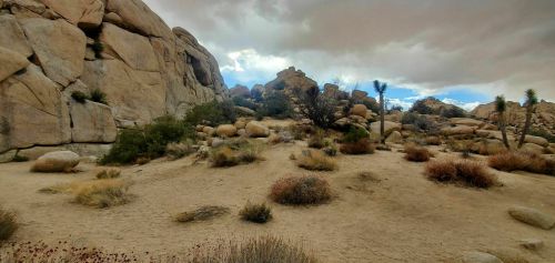 Rocky landscape with large boulders, sparse vegetation, and a cloudy sky in a desert setting.