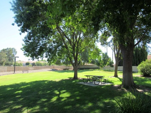 A sunny park scene featuring green grass, large trees, and a picnic table in a shaded area.