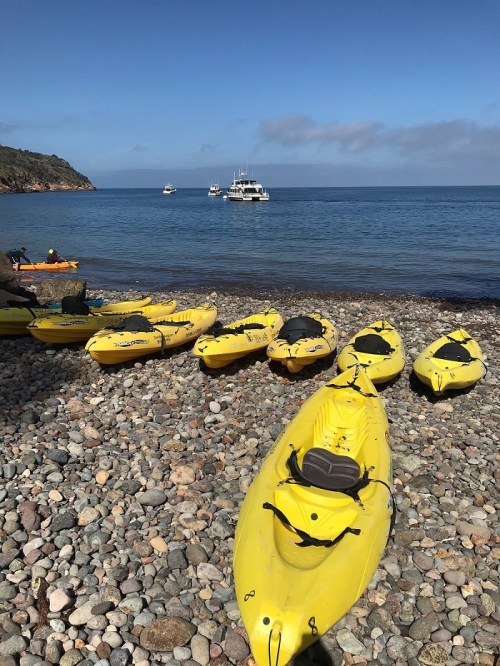 A beach scene with yellow kayaks on a rocky shore and boats in the calm blue water under a clear sky.