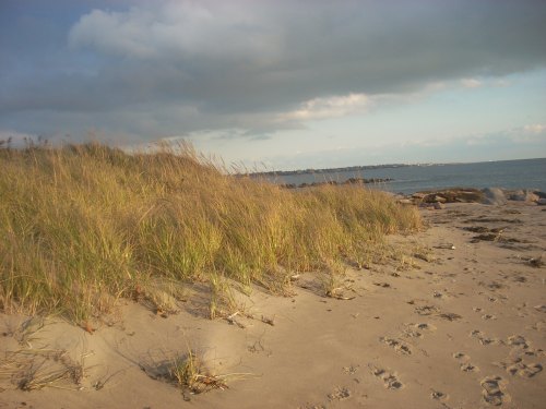A sandy beach with tall grass, gentle waves in the background, and a cloudy sky above.