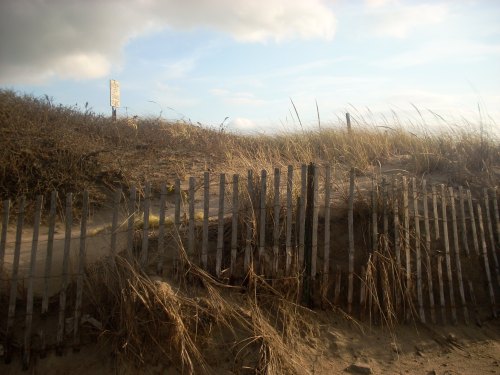 A sandy beach with tall grass and a wooden fence, under a cloudy sky. A sign is visible in the background.