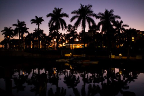 Silhouetted palm trees against a twilight sky, reflecting in calm water near a waterfront building.