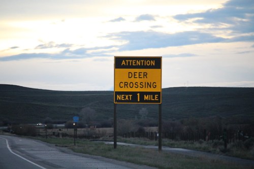 A yellow road sign warns of deer crossing for the next mile, set against a cloudy sky and grassy landscape.