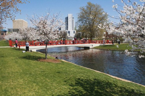 A scenic park with cherry blossoms, a red bridge over a pond, and people enjoying the sunny day.