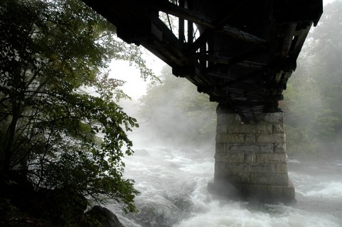 A misty river flows beneath a weathered bridge, surrounded by lush greenery and fog.