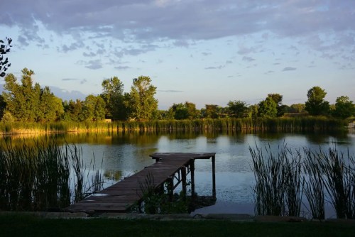 A serene lake at sunset with a wooden dock and lush greenery reflecting in the calm water.