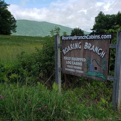 Sign for Roaring Branch Cabins, featuring amenities like trout fishing and swimming, set against a green landscape.