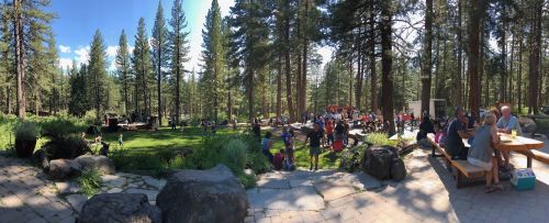 A panoramic view of a lively outdoor gathering in a forested area, with people socializing and enjoying the scenery.