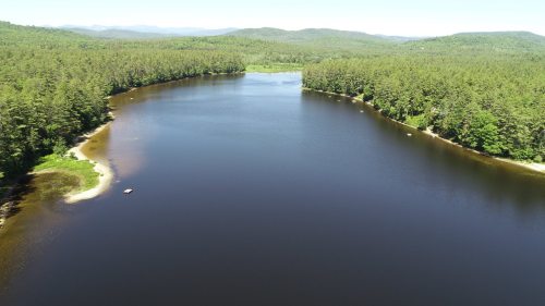 A serene lake surrounded by lush green forests and distant mountains under a clear blue sky.