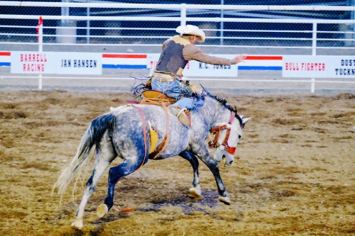 A cowboy in a hat rides a gray horse, performing at a rodeo event in a dirt arena surrounded by spectators.
