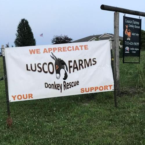 Banner for Lusco Farms Donkey Rescue expressing appreciation for support, with a sign featuring a donkey logo.