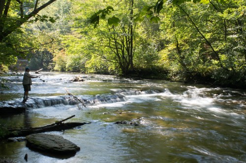 A person stands by a serene river, casting a line into the water, surrounded by lush green trees and gentle rapids.