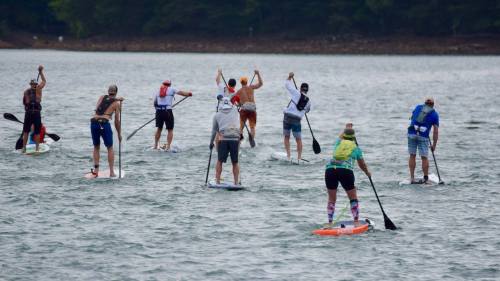 A group of people paddleboarding on a calm lake, enjoying a sunny day outdoors.