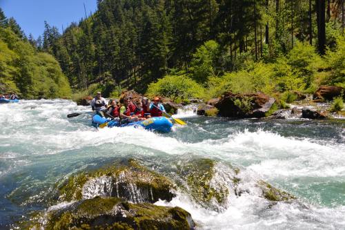 A group of people rafting on a river surrounded by lush green trees and rocky banks. White water splashes around them.