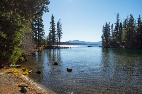 A serene lake surrounded by tall pine trees and distant mountains under a clear blue sky.