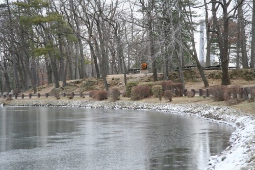 A tranquil park scene with a frozen pond, bare trees, and a path lined with shrubs on a cloudy day.