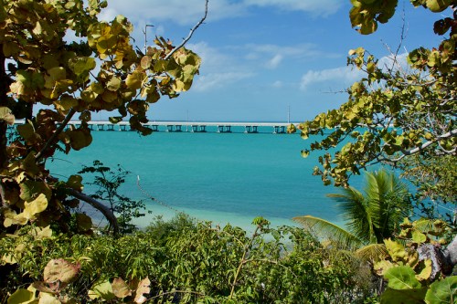 A scenic view of turquoise water framed by green foliage, with a bridge in the distance under a clear blue sky.