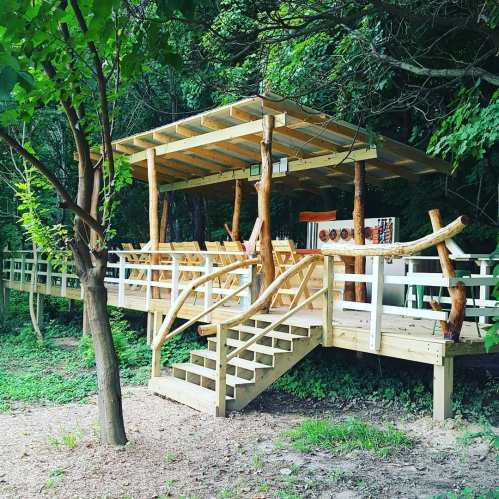A wooden gazebo with a deck and stairs, surrounded by trees in a natural setting.