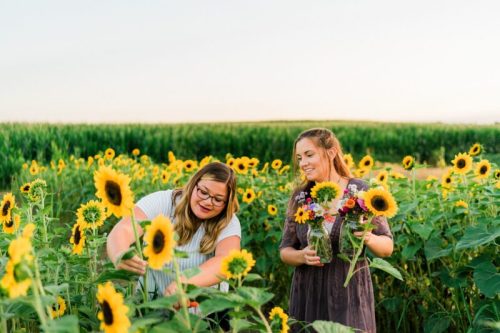 Two women in a sunflower field, one picking flowers while the other holds a vase of mixed blooms, smiling in the sunlight.