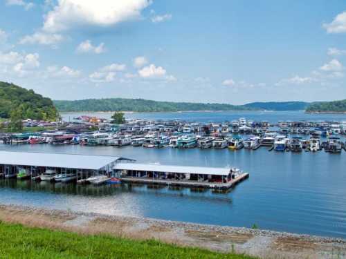 A scenic view of a marina with numerous boats docked, surrounded by green hills and a clear blue sky.