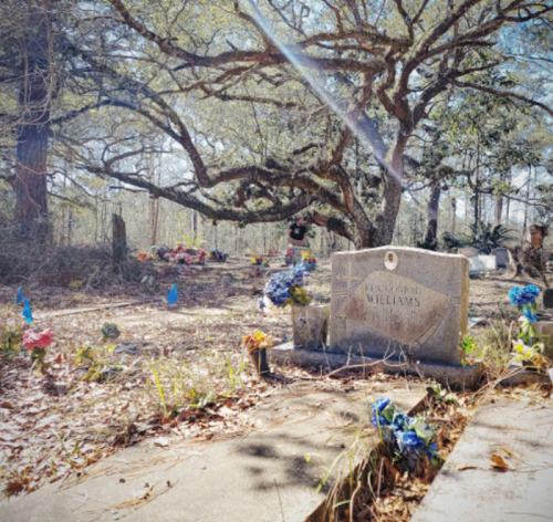 A gravestone surrounded by flowers under a large tree in a serene cemetery setting.