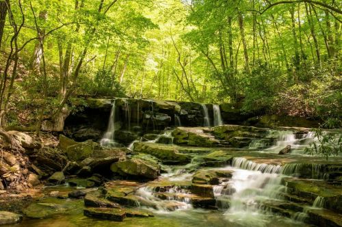 A serene forest scene featuring cascading waterfalls surrounded by lush green trees and rocky terrain.