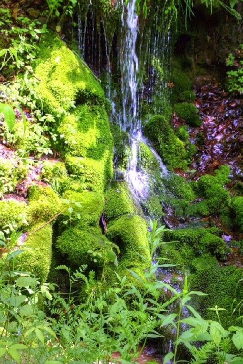 A serene waterfall cascading over lush green moss-covered rocks, surrounded by vibrant foliage.