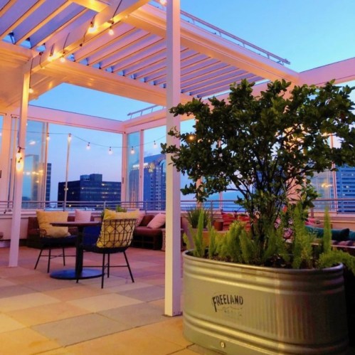 A rooftop terrace with string lights, seating, and a potted plant against a twilight city skyline.