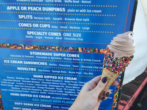 A hand holding a chocolate soft serve cone topped with colorful sprinkles, in front of an ice cream menu board.