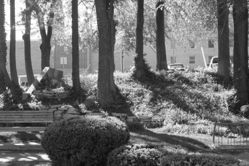 A serene park scene with trees, shrubs, and a stone wall, captured in black and white.