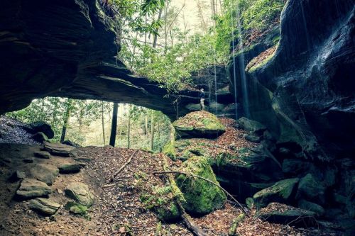 A serene forest scene featuring a rocky overhang, lush greenery, and a gentle waterfall cascading into a tranquil area.