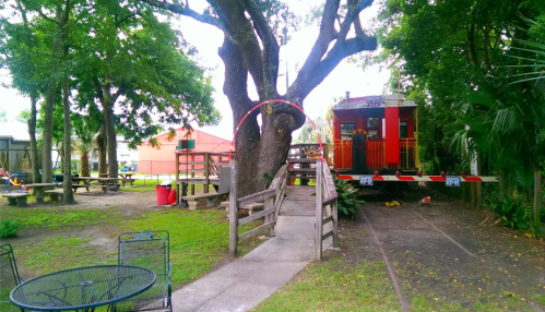 A colorful train car near a large tree, with picnic tables and a pathway in a green outdoor setting.